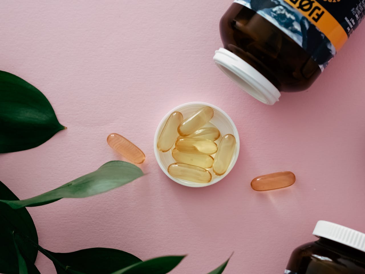 Fuel Your Daily Wellness